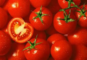Solanum lycopersicum